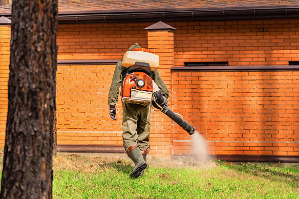 Bed Bug Clearance Verification and Documentation in Nicholson